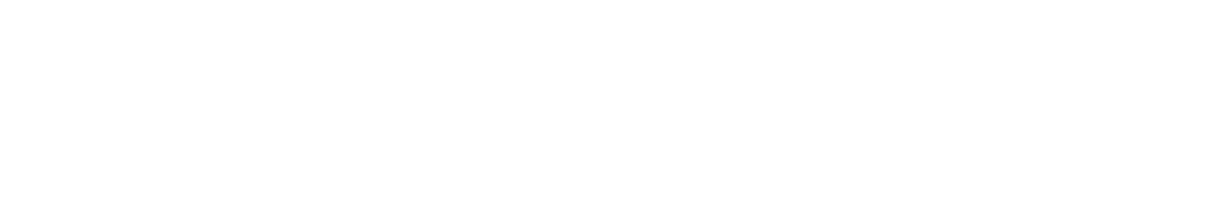 THD Logo